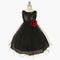 Mesh Paggy Dress